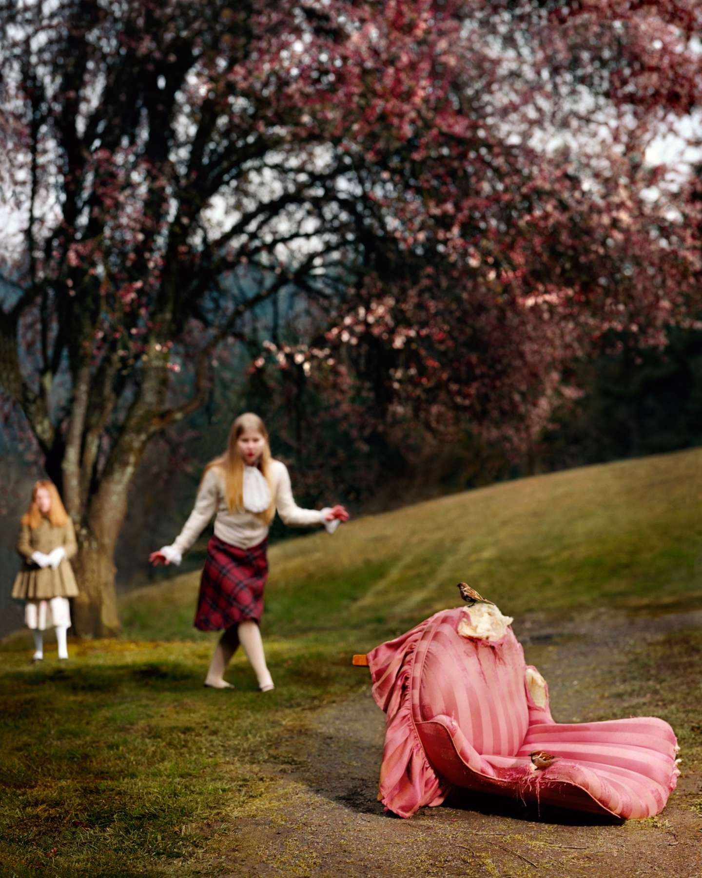 A surreal garden scene features a pink fabric-draped object in the foreground with a bird perched atop it, while two figures in vintage-style clothing play in the middle distance beneath a canopy of blooming trees with pink and white flowers. The composition uses rich color saturation and dreamlike staging to create an ethereal, narrative atmosphere.