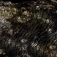 Dark abstraction with flowing, gestural brushstrokes in black and white, creating a sense of movement and organic texture across the composition. The layered marks suggest water, natural forms, or landscape elements rendered in an expressionistic style.