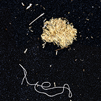Abstract composition on black background featuring a dense, textured golden-yellow form in the upper center and delicate white linear marks resembling organic curves or handwriting scattered throughout the lower portion and edges of the frame.