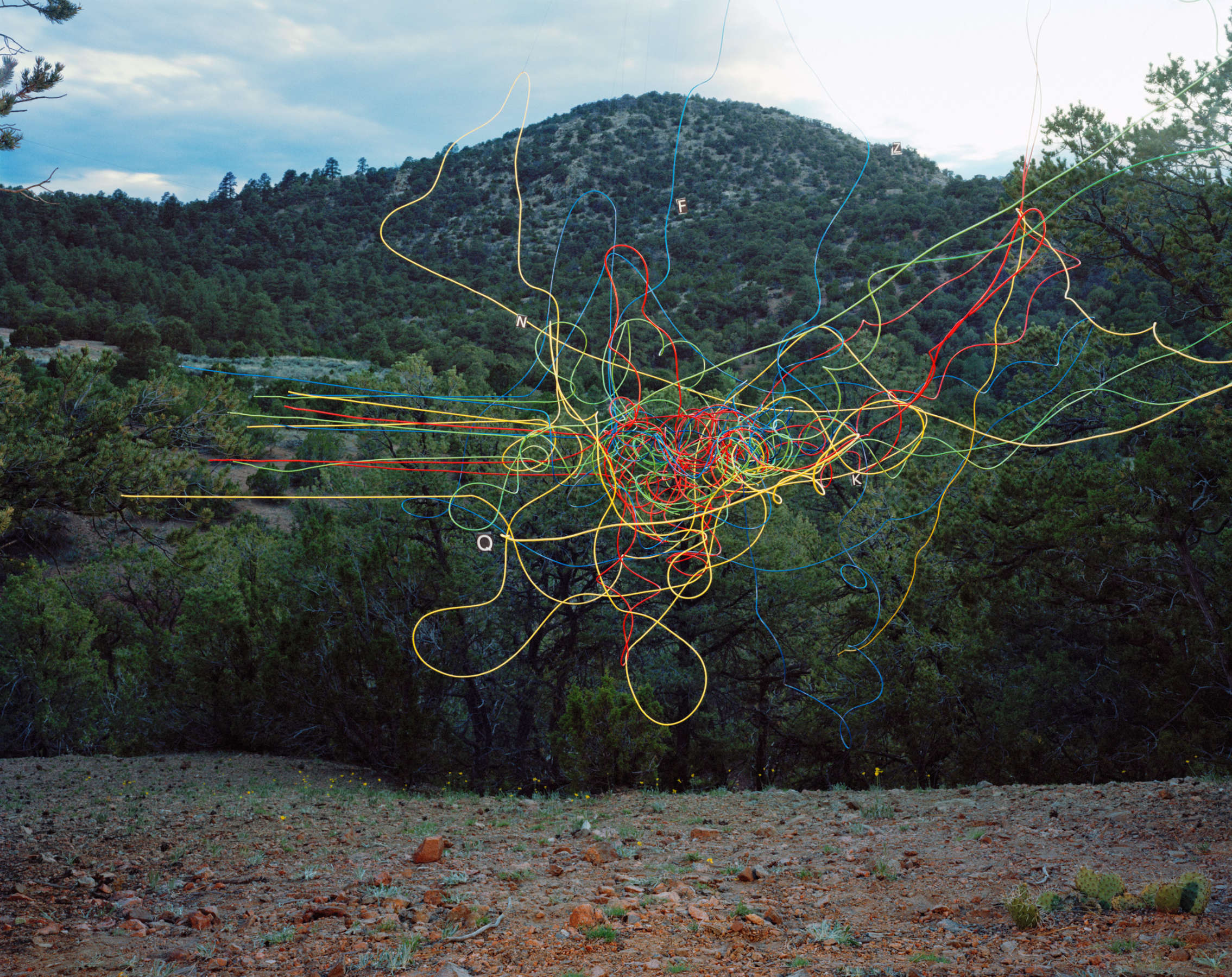 Colorful tangled wire lines in yellow, red, blue, and green stretch across a forested mountain landscape, creating an intricate abstract overlay against dense pine trees and a distant hillside.