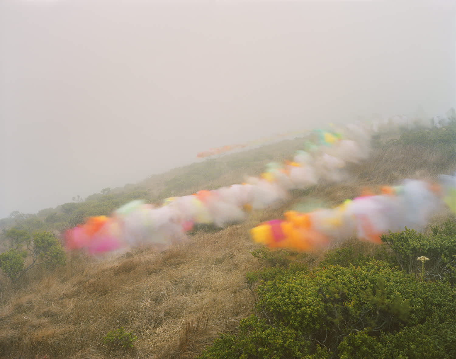 Colorful hot air balloons in soft focus dot a foggy hillside covered with dry brush and green vegetation, their bright reds, yellows, oranges, and pinks diffused into dreamlike forms against the mist.