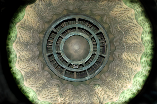 Concentric circular mechanical forms in shades of gray and steel blue occupy the center of the composition, surrounded by textured organic patterns in tan and soft green that radiate outward against a black background.