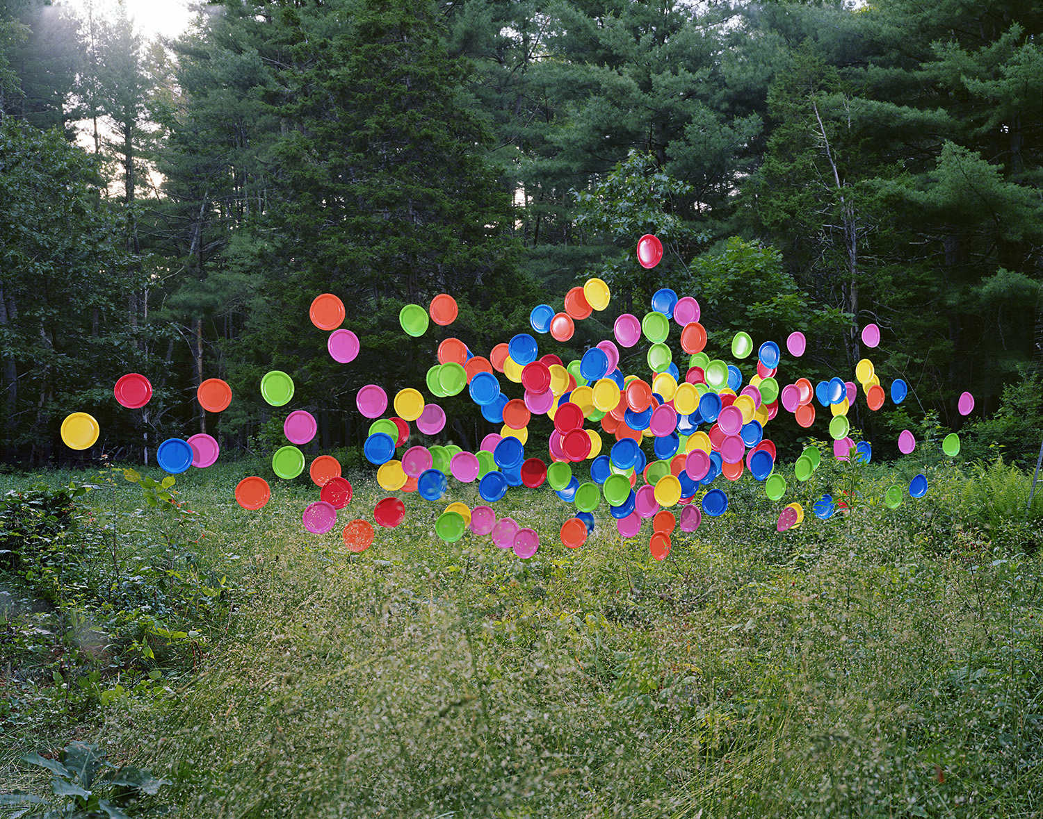 A large cluster of vibrantly colored plastic plates in red, blue, yellow, green, pink, and orange hovers above overgrown vegetation and wildflowers against a dense forest backdrop. The plates are arranged in a loose, floating formation that creates a striking contrast between the artificial bright colors and the natural woodland setting.