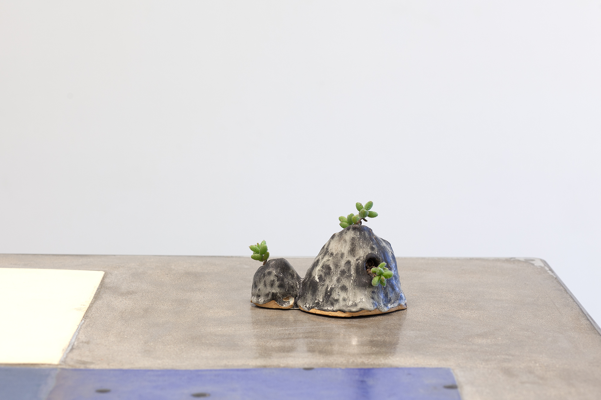 Two gray ceramic dome-shaped forms with textured, mottled surfaces sit on a concrete platform. Small green succulent plants sprout from openings in the larger dome and from the top of the smaller form, while a blue-glazed accent appears on the right side of the larger dome.