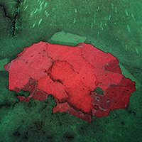 Vibrant red sculptural form with organic, undulating contours photographed against a contrasting green background. The textured surface suggests clay or similar malleable material, with the composition emphasizing the dimensional volume and tactile quality of the three-dimensional object.
