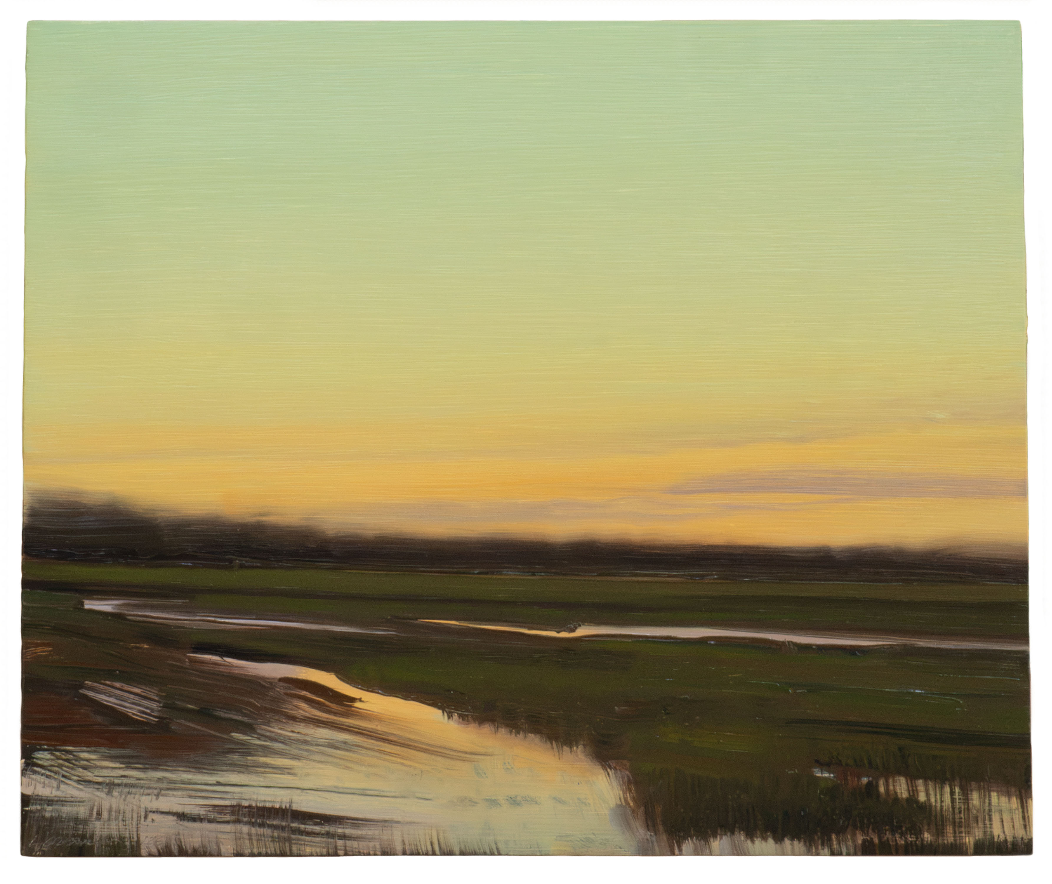 A horizontal landscape painting depicting a wetland or floodplain at dusk, with still water reflecting golden and amber light across the lower portion. The composition features soft, horizontal brushwork creating a hazy gradient sky that transitions from sage green at the top through pale yellow to warm gold near the horizon, while the foreground shows dark green fields and brown vegetation with mirrored reflections in shallow water.