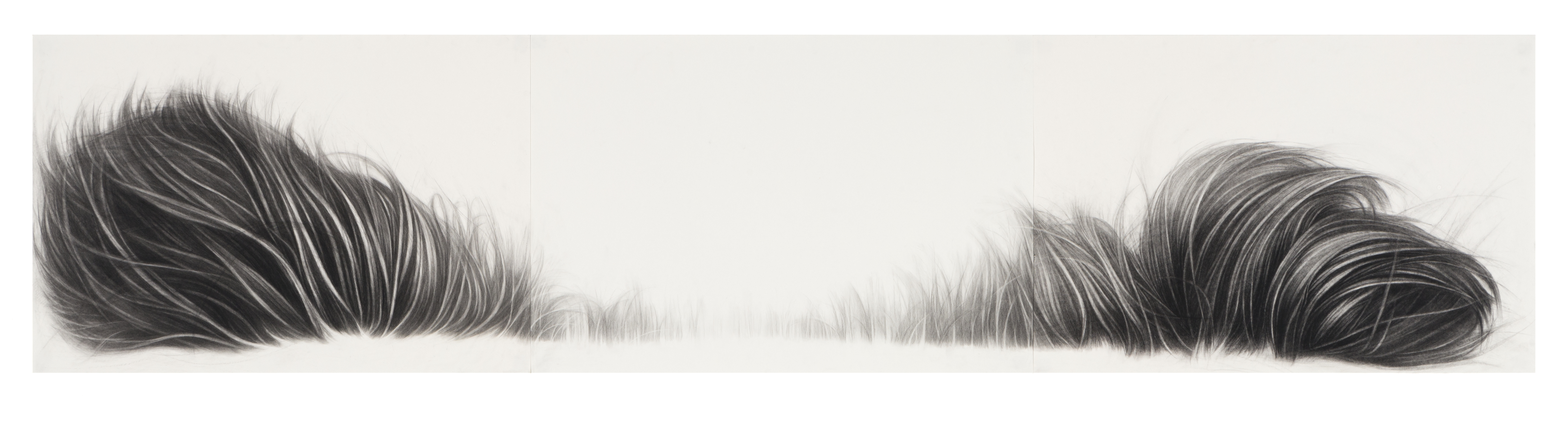 A horizontal triptych of charcoal drawings depicting two abstracted dark hair-like forms on either side with empty white space between them, creating a sense of separation or distance. The gestural marks are rendered with fine, flowing lines that fade gradually toward the center.