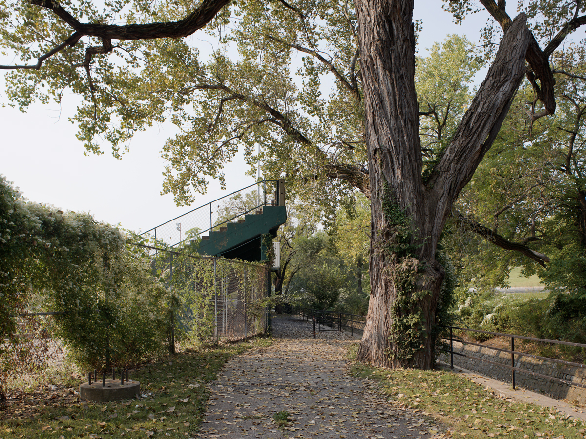 A gravel pathway winds through mature trees with gray bark toward a modern green metal viewing platform or bleachers structure set among the woodland landscape. Fall foliage and scattered leaves cover the ground, while metal railings line the sides of the path.