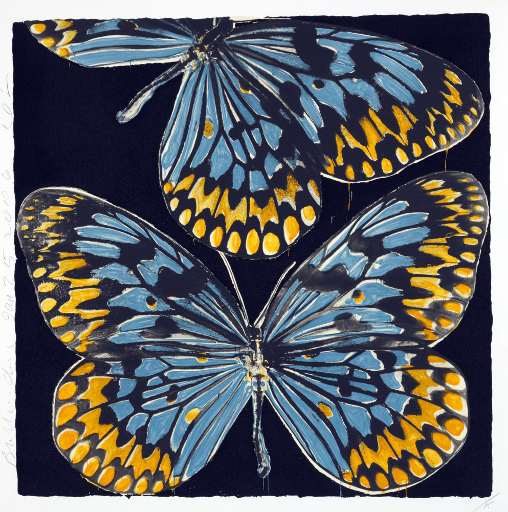 Three stylized butterflies rendered in vibrant blue and golden yellow against a dark navy background, their wings detailed with radiating line work and spotted patterns, executed in a bold graphic style with textured surface finish.
