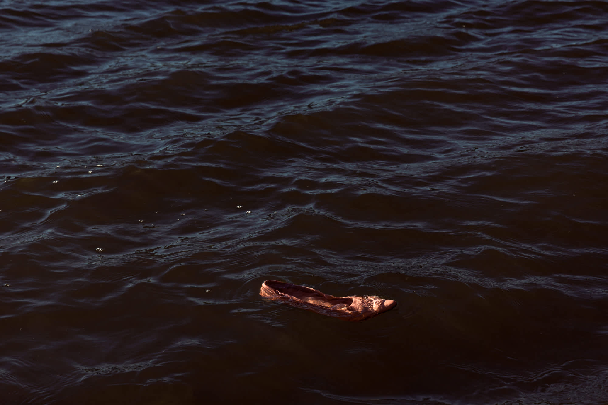 A reddish-brown animal carcass floats in dark, rippling water, illuminated by warm light against the darker surrounding waves.