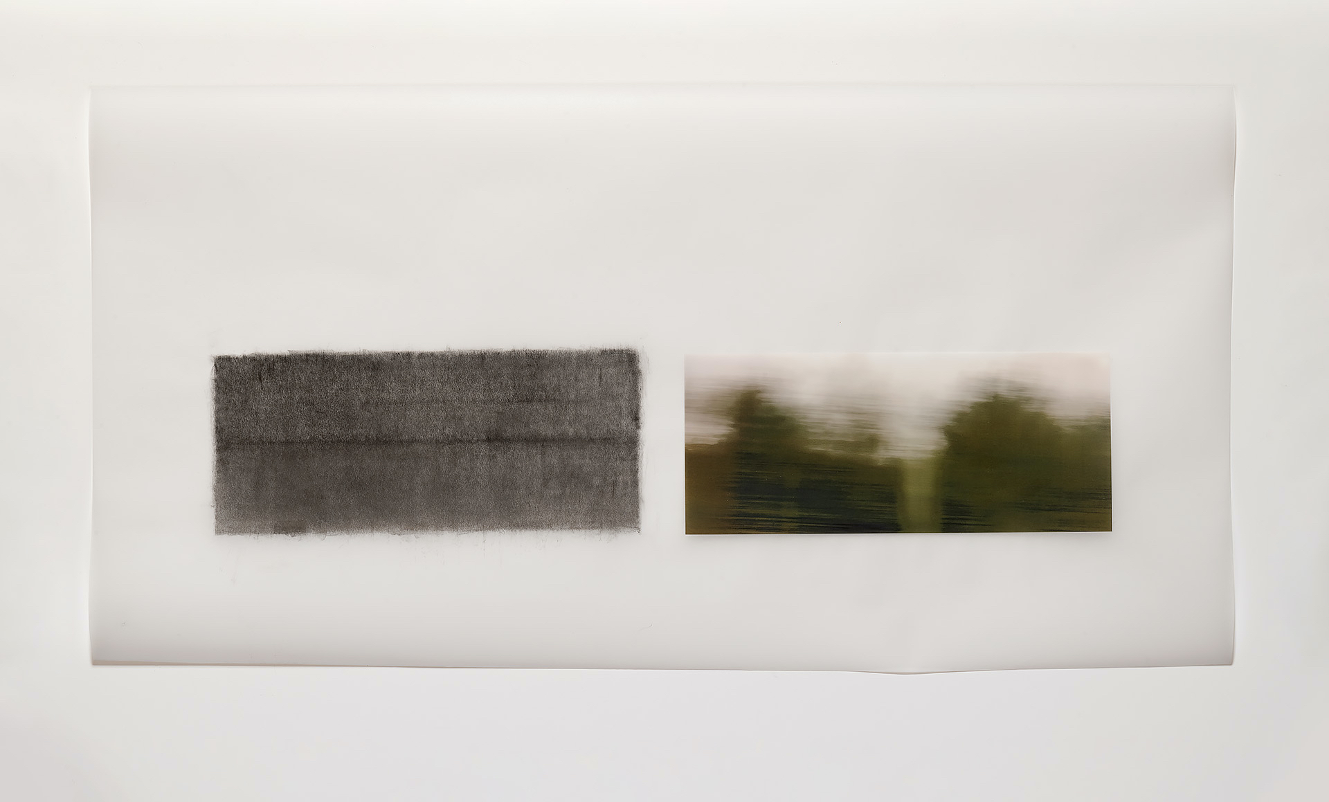 Two horizontal rectangular panels mounted on a white wall: on the left, a dark graphite rubbing with visible texture; on the right, a blurred photograph of trees and sky with horizontal streaking suggesting motion or rain. Both works are printed on translucent vellum.