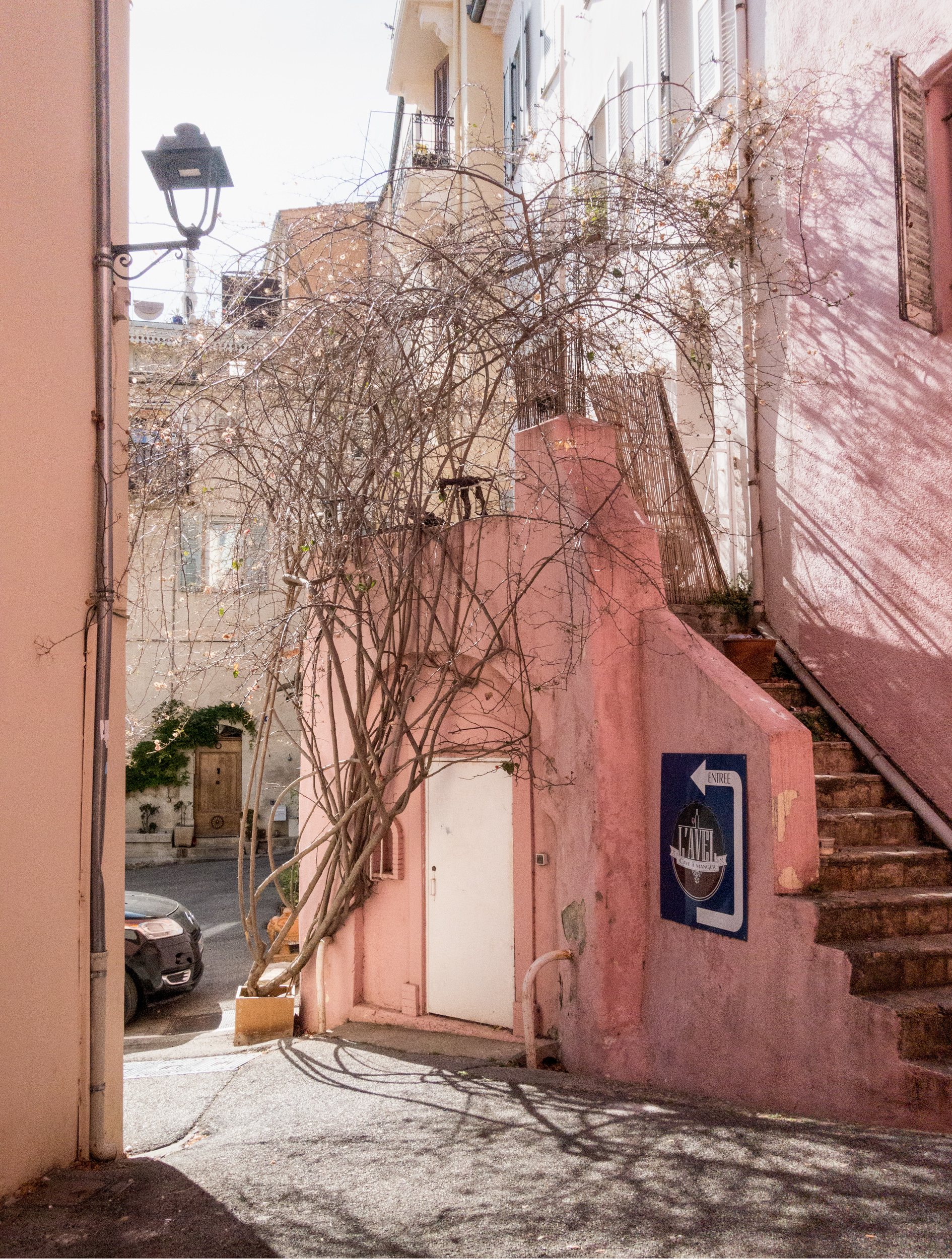 A narrow alleyway between pink and terracotta buildings frames a bare, sprawling vine climbing across weathered walls. A street lamp, wooden door, and blue signage punctuate the warm-toned architecture, while stairs ascend on the right and a parked car is visible through the passage ahead.