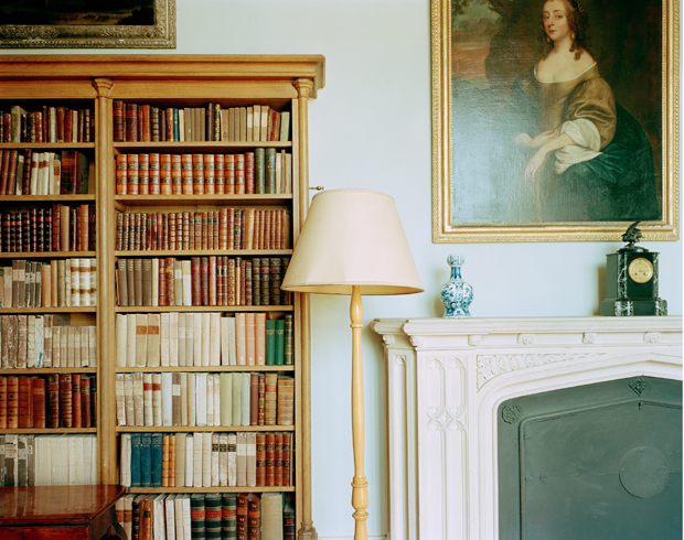 A classical interior featuring a tall wooden bookshelf with leather-bound volumes in warm earth tones, a cream-colored fireplace mantel with decorative objects including a blue and white porcelain vessel and green clock, a portrait painting in a gold frame hanging above, and a brass floor lamp with pale shade positioned beside the hearth.