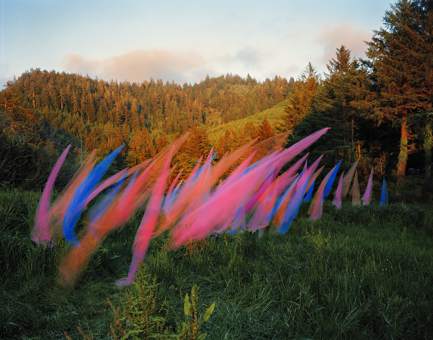Vibrant pink, blue, and orange translucent fabric forms sweep diagonally across a grassy meadow, creating dynamic motion against a backdrop of golden-brown coniferous forest under a pale sky.