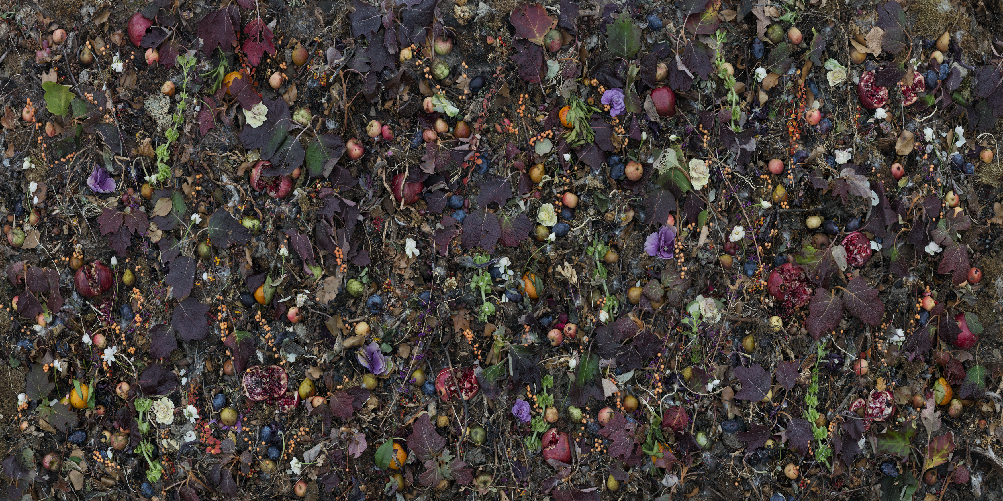 Dense overhead view of dried flowers, berries, and foliage arranged tightly across a dark surface, featuring deep purples, burgundies, whites, and touches of gold and blue among tangled stems and scattered botanical elements.