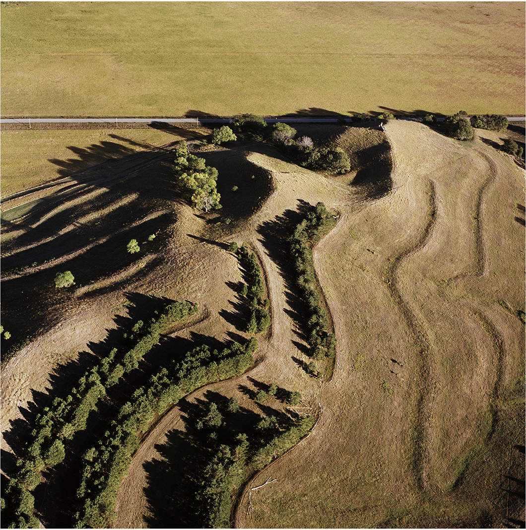 Aerial view of agricultural fields with curved tree lines casting long shadows across plowed earth and green grass, creating a striking pattern of light and dark tones in warm browns and greens.