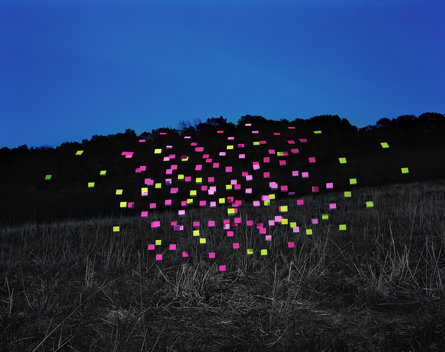 Nighttime landscape featuring a hillside silhouetted against a deep blue sky, with the dark treeline and dry grass rendered in muted tones. Hundreds of neon pink and yellow-green fluorescent squares are densely scattered across the composition, creating a glowing constellation of color that contrasts dramatically with the monochromatic surroundings.