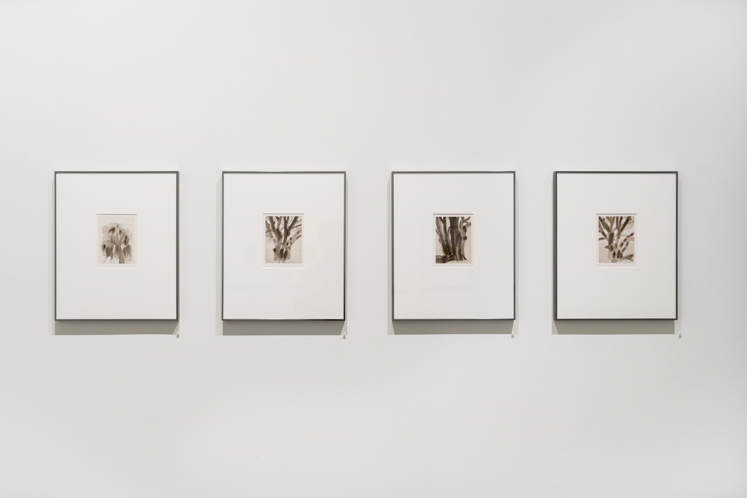 Four framed works displayed in a horizontal row on a white gallery wall, each containing a small sepia-toned drawing or photograph of a tree rendered in delicate, gestural marks against white matting and dark frames.