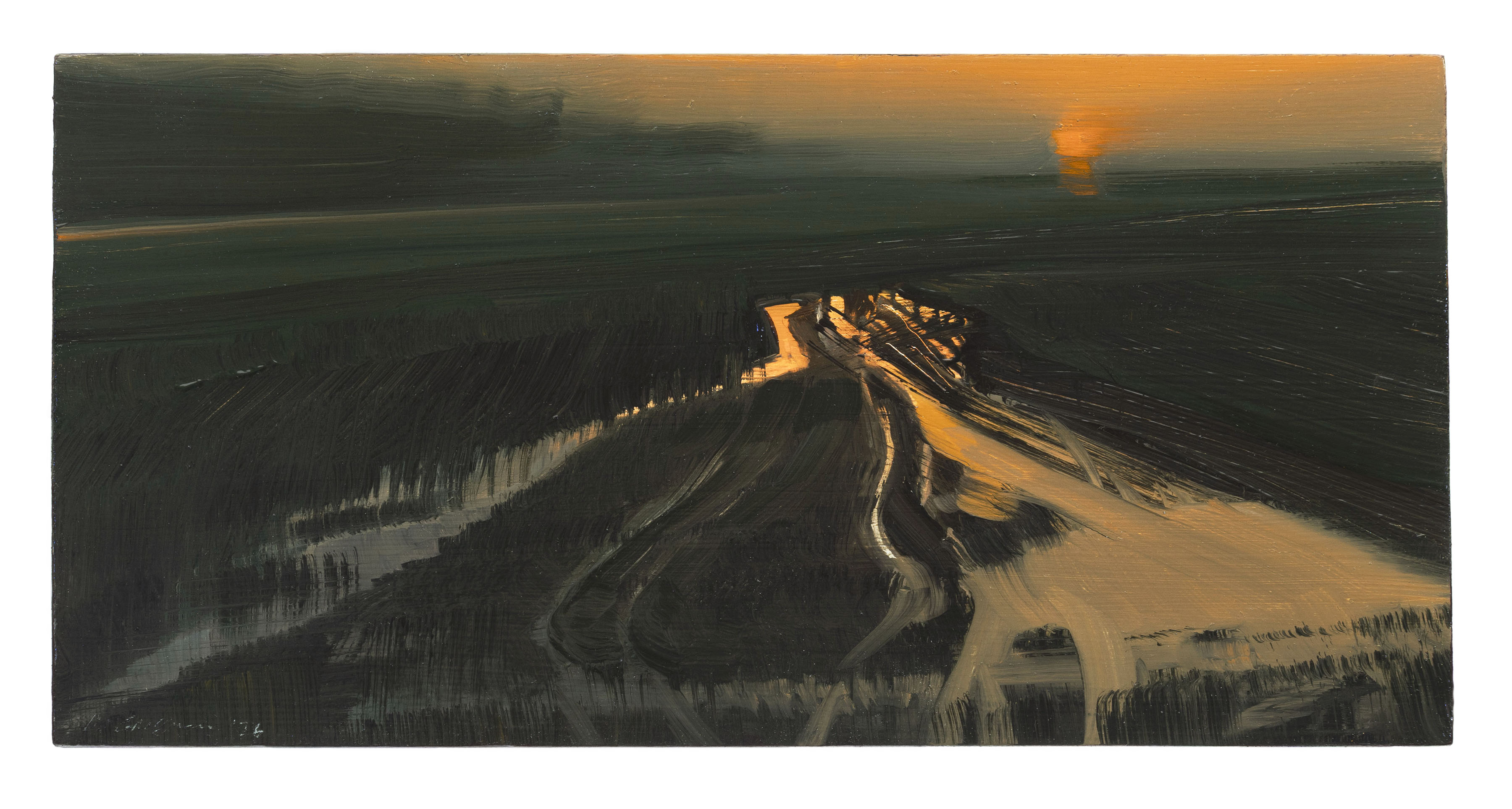 Aerial landscape painting depicting a winding river cutting through forested terrain at dusk, with warm golden sunlight illuminating the water and sky while dense dark forests frame the composition. The work employs expressive brushwork and a muted earth-tone palette to convey the dramatic interplay of light and shadow across the vast natural vista.