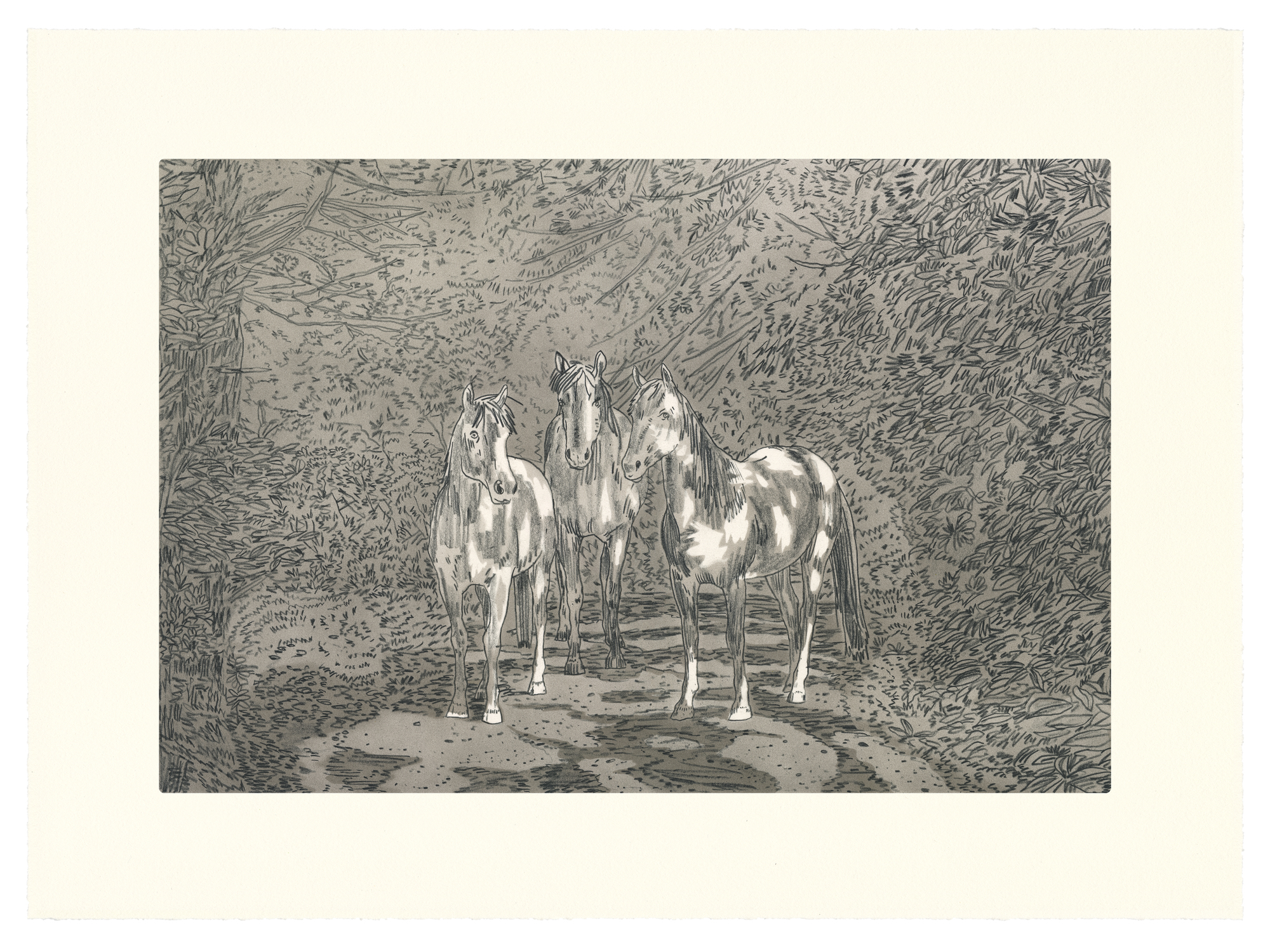 Three horses with white markings stand on a forest path, rendered in intricate black and white line work with detailed cross-hatching that fills the dense vegetation surrounding them on both sides.
