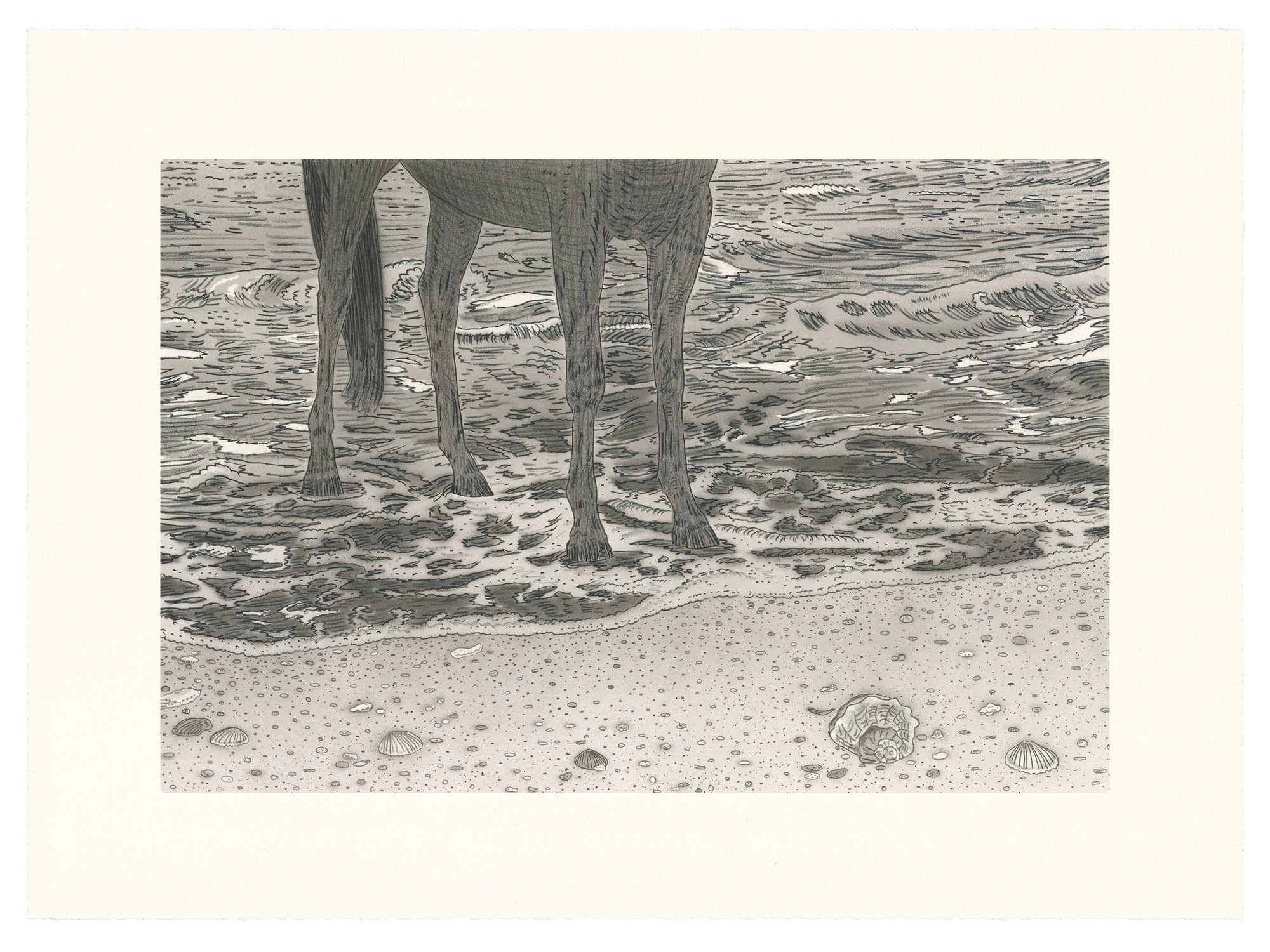 A detailed black and white drawing depicting the lower legs and hooves of an elephant standing in shallow water at a beach, with shells and pebbles scattered across the sand in the foreground and rippling waves visible in the background.