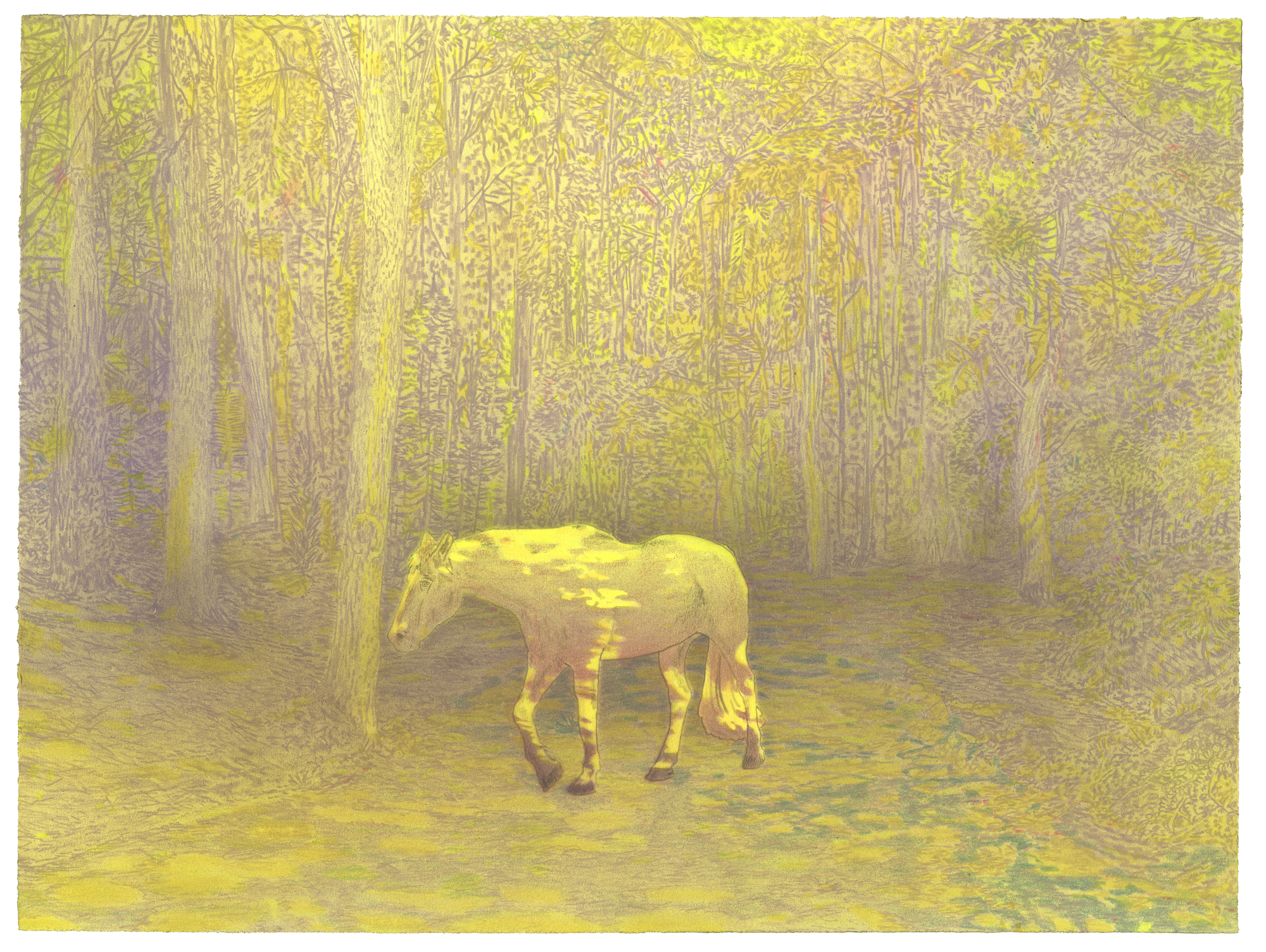 A pale horse stands on a forest path lined with tall trees rendered in muted yellows and grays. The entire composition is suffused with a golden-yellow tone, creating an ethereal, dreamlike atmosphere.
