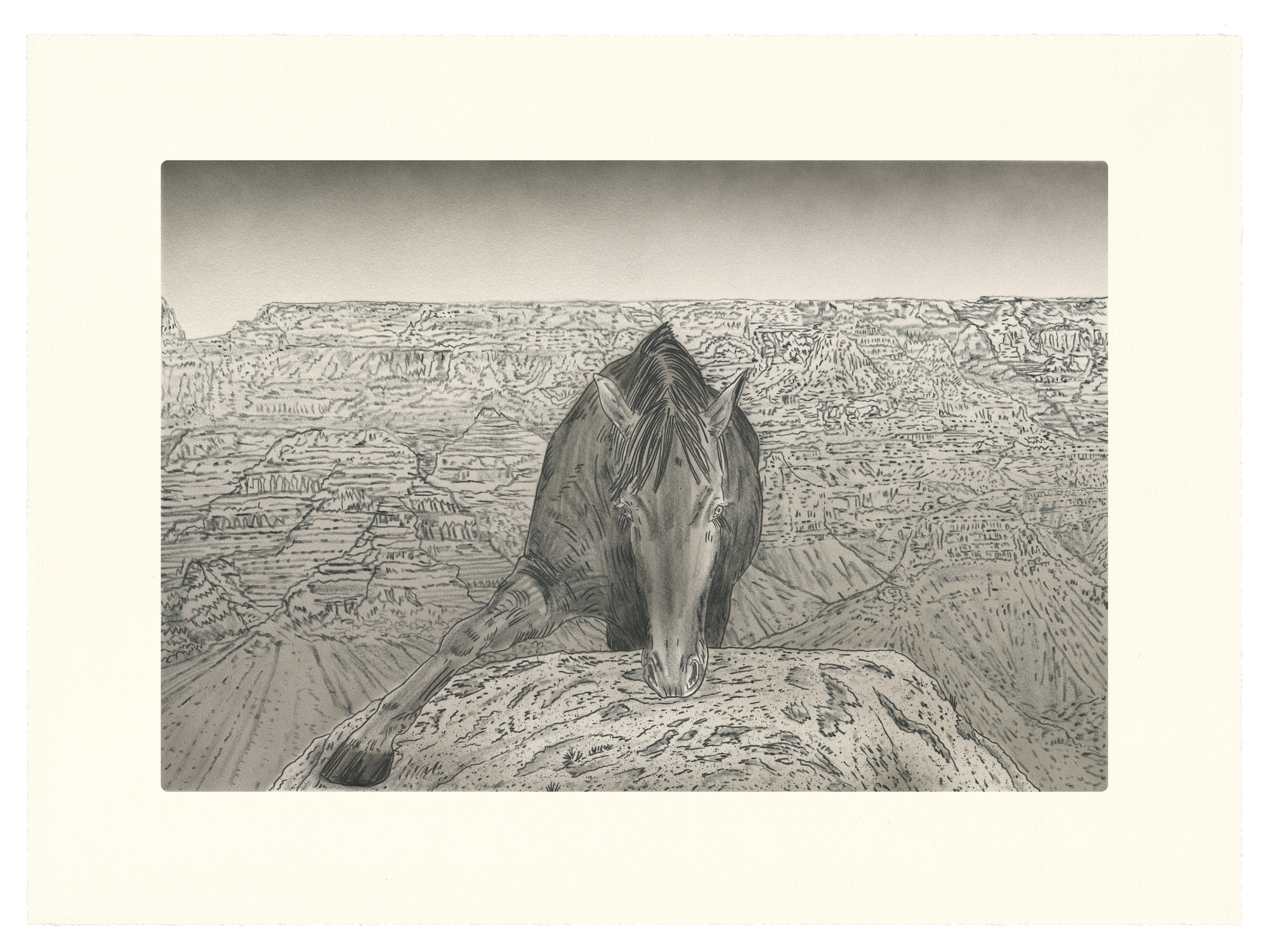 A detailed pencil and ink drawing depicting a horse viewed from behind, lowering its head toward rocky terrain. The horse is rendered with careful cross-hatching and line work, positioned on a rocky outcrop that overlooks an expansive, intricately textured landscape of canyons and plateaus stretching to the horizon.
