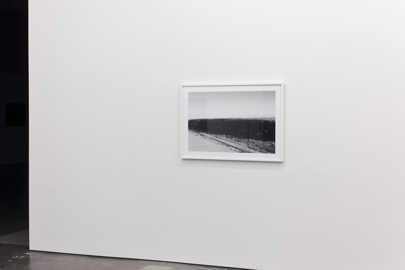 A framed black and white photograph hung on a white gallery wall depicting a sparse landscape with a dark treeline dividing the composition, a gravel road curving through an open field beneath an overcast sky.